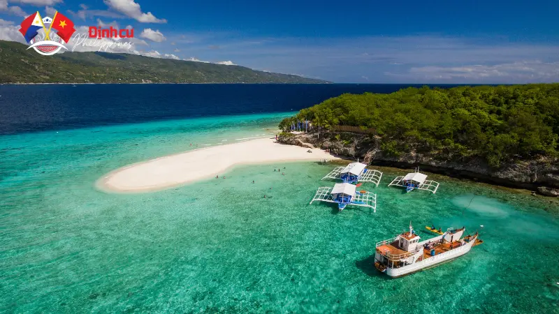 Bãi Biển Oslob - Cebu