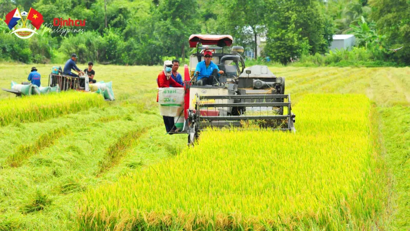 Các lĩnh vực chính của nền kinh tế tại đất nước Philippines
