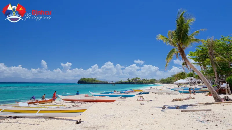 Tìm hiểu về vị trí của thành phố Cebu là ở đâu?